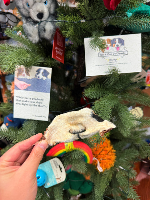 Raw meats for pet food - Goat Snouts