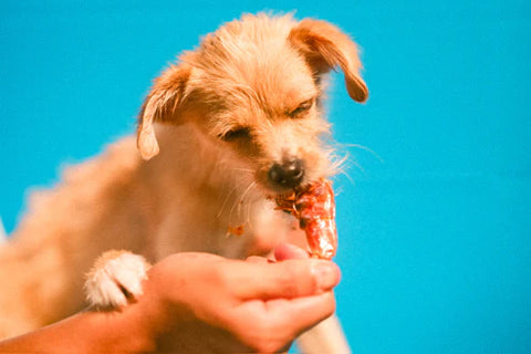 WulfSnacks King Prawns