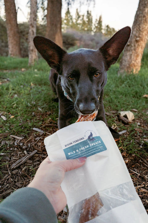 Wild n Fresh Dehydrated Bison Tendons