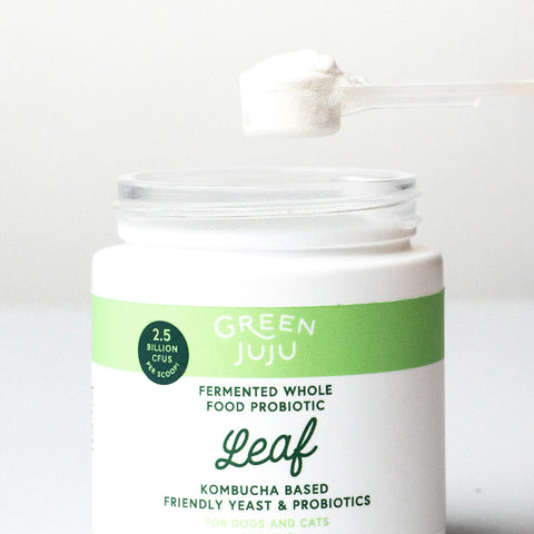 Green Juju - Whole Food Probiotics