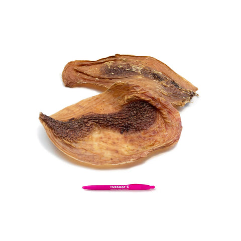 Tuesday’s Ostrich stomach discs
