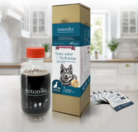 Totoniks Fussy Eater & Hydration Starter Pack – for big dogs over 33lb (15kg)