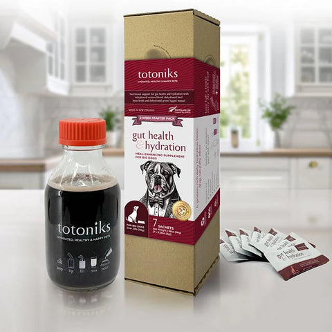 Totoniks Gut Health & Hydration Starter Pack – for big dogs over 33lb (15kg)