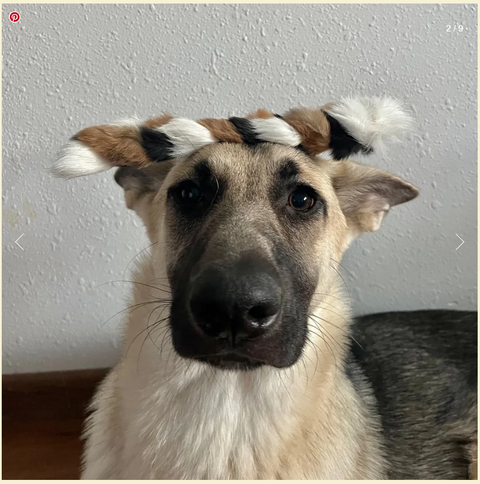 H&N Homestead Braided Rabbit Hide Dog Chew