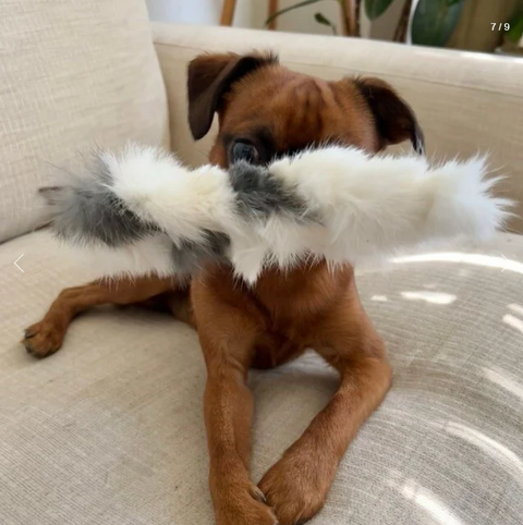 H&N Homestead Braided Rabbit Hide Dog Chew