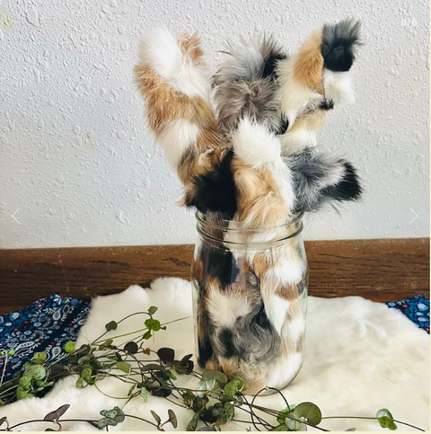 H&N Homestead Braided Rabbit Hide Dog Chew