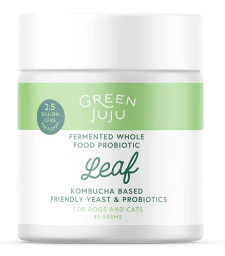 Green JuJu - Leaf - Fermented, Kombucha-Based Probiotic