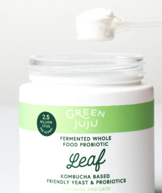 Green JuJu - Leaf - Fermented, Kombucha-Based Probiotic