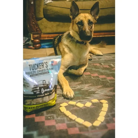 Tucker's® Chicken-Pumpkin Formula Freeze-Dried Dog Food, 14 Oz