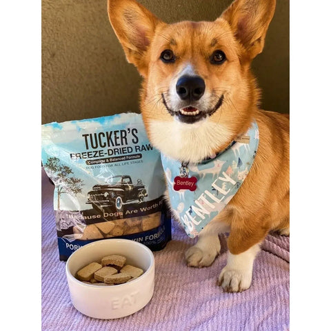 Tucker's® Pork-Bison-Pumpkin Formula Freeze-Dried Dog Food, 14 Oz