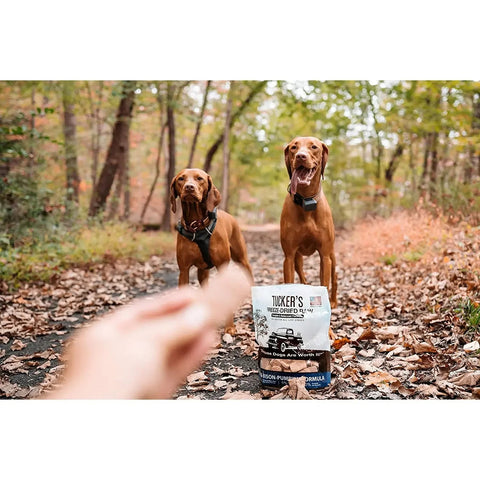 Tucker's® Pork-Bison-Pumpkin Formula Freeze-Dried Dog Food, 14 Oz