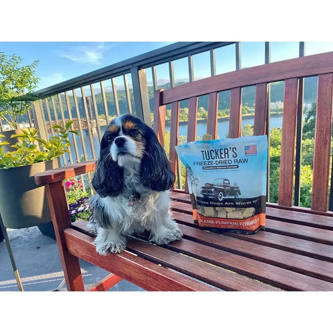 Tucker's® Pork-Lamb-Pumpkin Formula Freeze-Dried Dog Food, 14 Oz