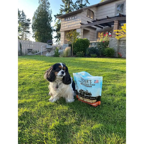 Tucker's® Pork-Lamb-Pumpkin Formula Freeze-Dried Dog Food, 14 Oz