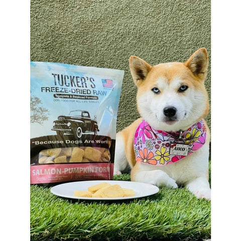Tucker's® Salmon-Pumpkin Formula Freeze-Dried Dog Food, 12 Oz