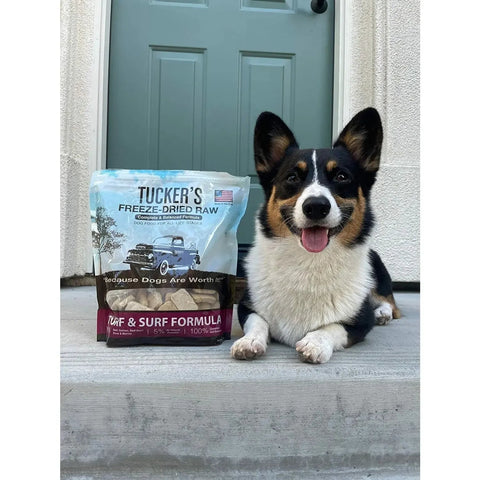 Tucker's® Turf & Surf Formula Freeze-Dried Dog Food, 14 Oz
