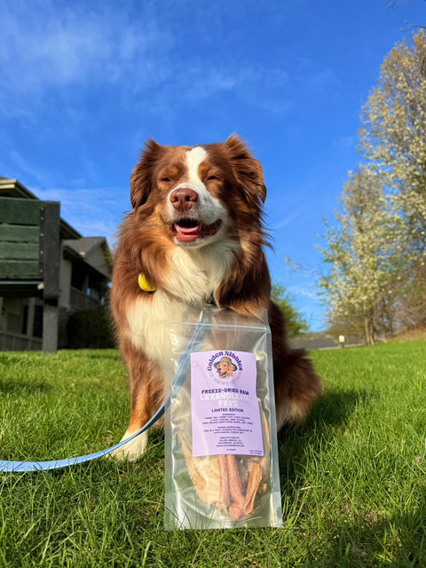 Golden Nibbles Lex&Levie Favs