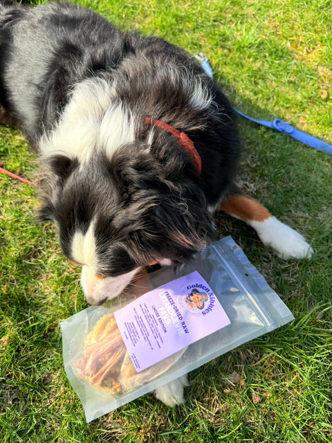 Golden Nibbles Lex&Levie Favs