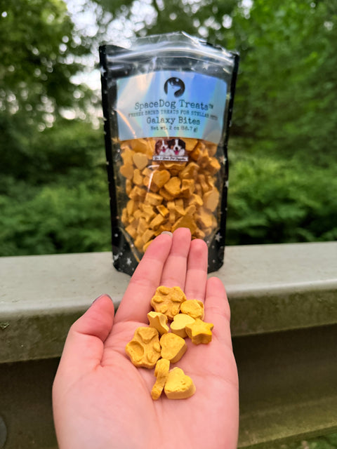 Space Dog Galaxy Bites