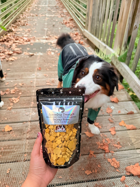 Space Dog Galaxy Bites