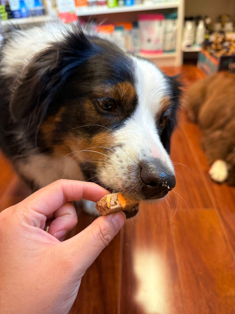 Space Dog Chicken Cosmic Crunchers