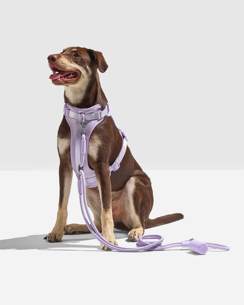 Wild One - Hands-Free Rope Leash