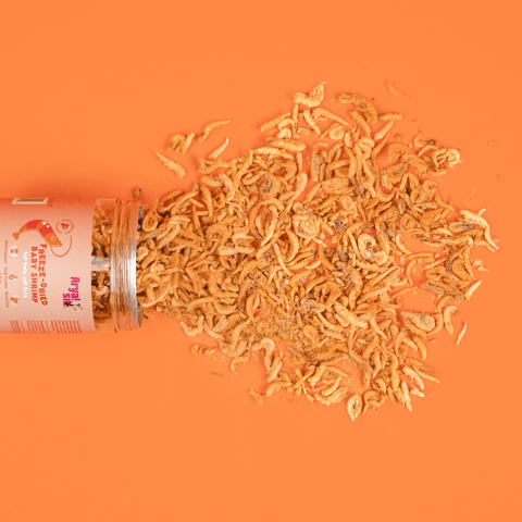 Arya Sit! - Freeze-dried Baby Shrimp