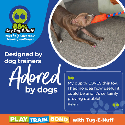 Tug-E-Nuff - Bright Fauxtastic | Tough Dog Toy | Tug-E-Nuff