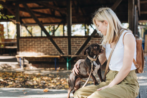 BAND&ROLL - Leather Dog Collar. Fir