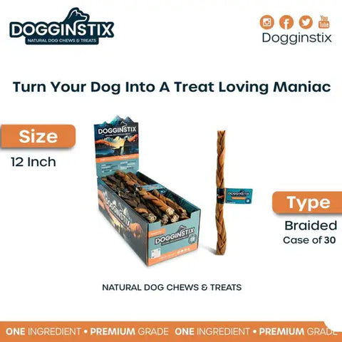 Dogginstix - 12" Braided Lamb Collagen Sticks