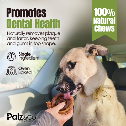 Palz&Co - Moodog Beef Bully Bun/ Caps, 25 Pack