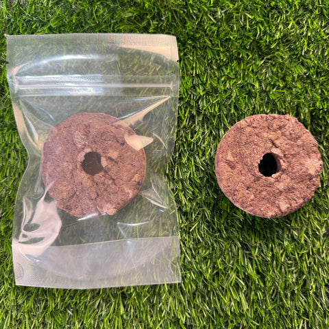 Golden Nibbles - Donut - Venison - Freeze-Dried Treat for Dogs & Cats