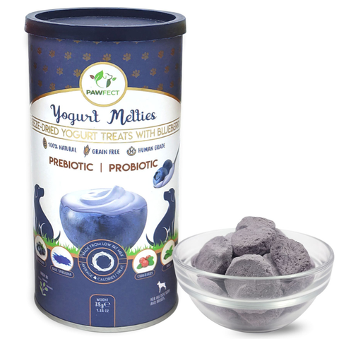 Pawfect Pet Foods Pvt Ltd - USA - Pawfect Yogurt Melties Pre and Probiotic Dog Treats with Blueberry, Cranberry, Blue Spirulina, Mint | Healthy Gut | Low Calories | Grain & Gluten Free | Reward or Training Treats (38g/1.34oz)