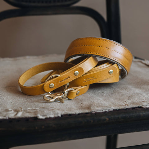 BAND&ROLL - Wool Padded Wide Dog Collar. Pine