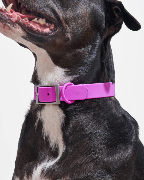 Wild One - Adjustable Waterproof Collar