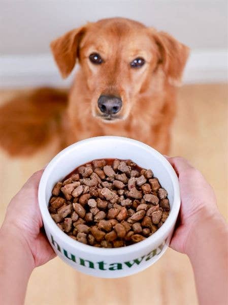 Huntaway - Freeze-Dried Raw Venison Dog Food 3 x 12oz bags