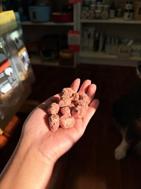 Shanny Farms x Lex&Levie Freeze-Dried Venison & Goat Cheese Meatballs