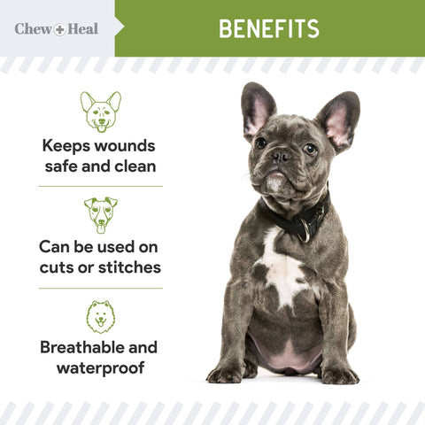 Chew + Heal - Liquid Bandage for Dogs, Pet First Aid Essential - 4 oz.