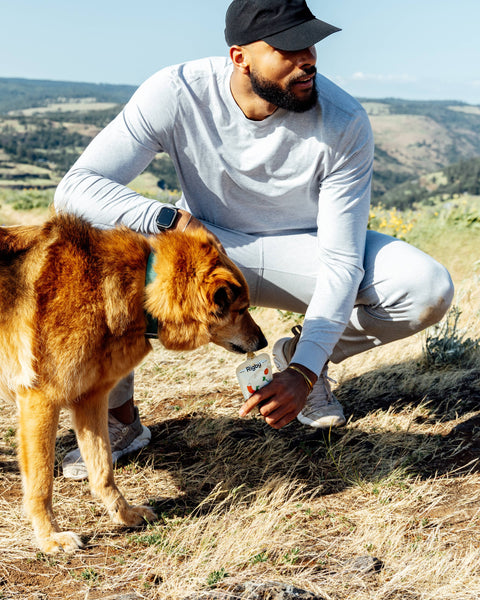 Rigby - Organic Beef Squeeze Pouch for Dogs - 6 Pack