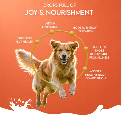 Pawfect Pet Foods Pvt Ltd - USA - Pawfect Nature's Sip Camel Milk Powder with Papaya, Banana, Broccoli & Flaxseeds| Easily Digestible| Pre & Probiotics| Healthy Topper| Low Glycemic| Hydration Support | Milk Replacer for Dogs