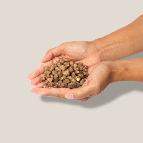 Little Hunter - Raw Lamb Recipe