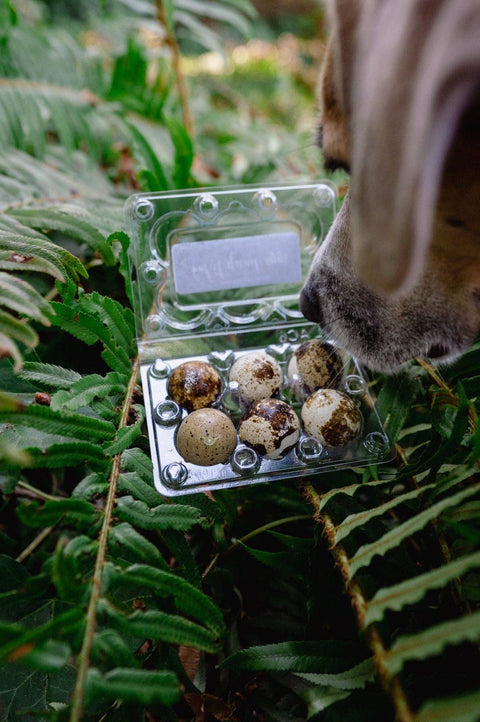 Love Liparu - BALUT QUAIL EGG | Freeze-Dried Dog + Cat Treat