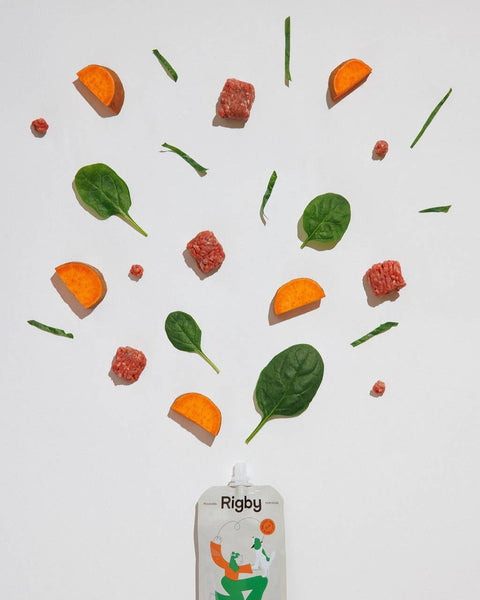 Rigby - Organic Beef Squeeze Pouch for Dogs - 6 Pack