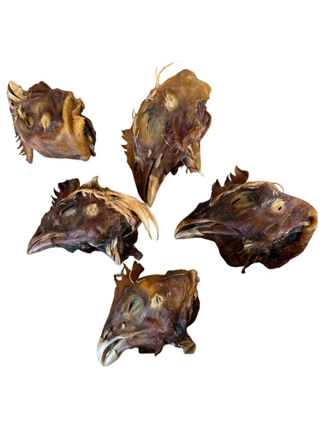 Litto Howler - Chicken Head | 6 Count