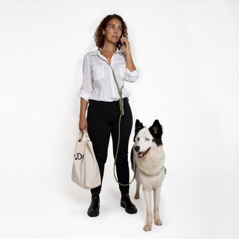 Zee.Dog - Army Green | Hands-Free Leash