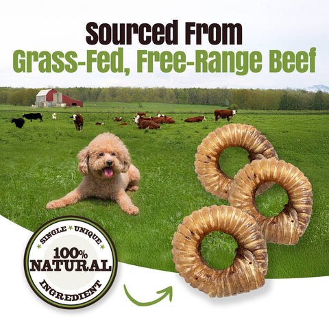 Palz&Co - Moodog Beef Trachea Donut - Pack of 1