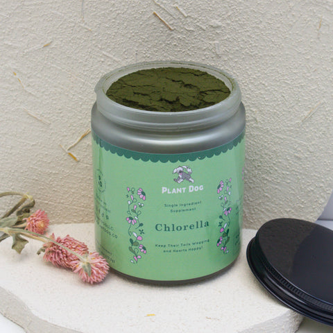 Plant Dog LLC - Chlorella Powder Supplement- Natural Immunity Boost and Anti