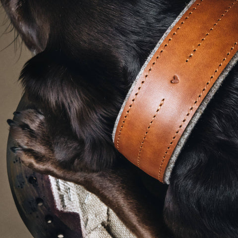 BAND&ROLL - Wool Padded Wide Dog Collar. Pine