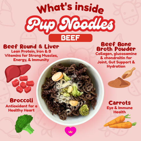 Owa Owa - Pup Noodles Beef- VIRAL cup noodles for dogs & cats
