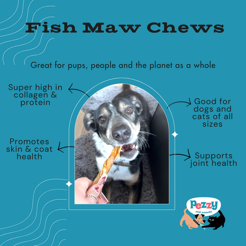 Pezzy Pets - Fish Maw (Single Ingredient Chew)