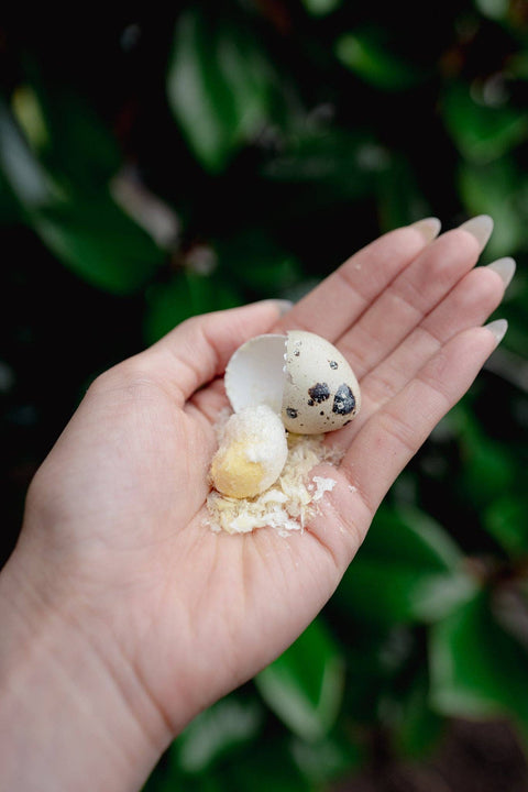 Love Liparu - WHOLE QUAIL EGG | Freeze-Dried Dog + Cat Treat